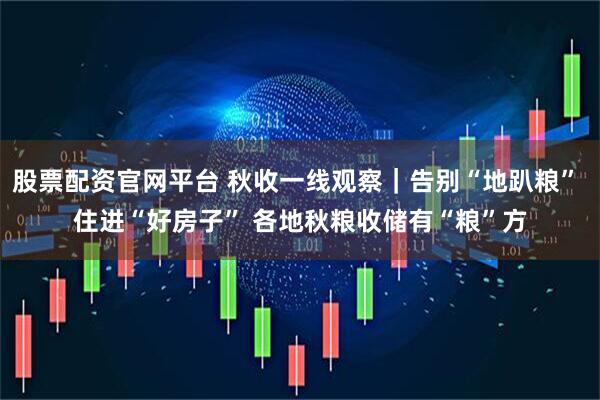 股票配资官网平台 秋收一线观察｜告别“地趴粮” 住进“好房子” 各地秋粮收储有“粮”方