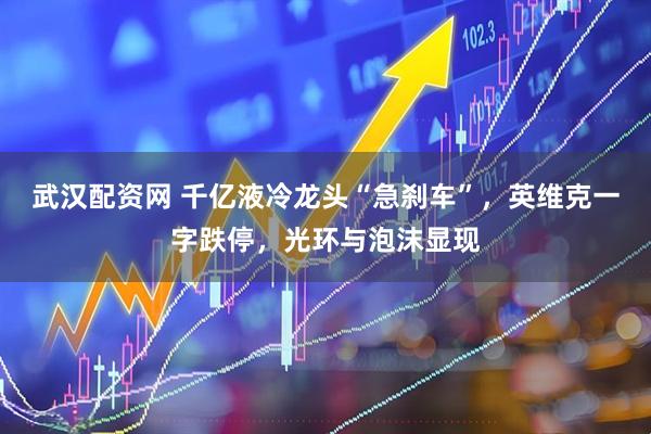 武汉配资网 千亿液冷龙头“急刹车”，英维克一字跌停，光环与泡沫显现
